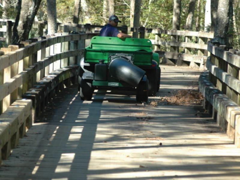 Clearing Cart Paths