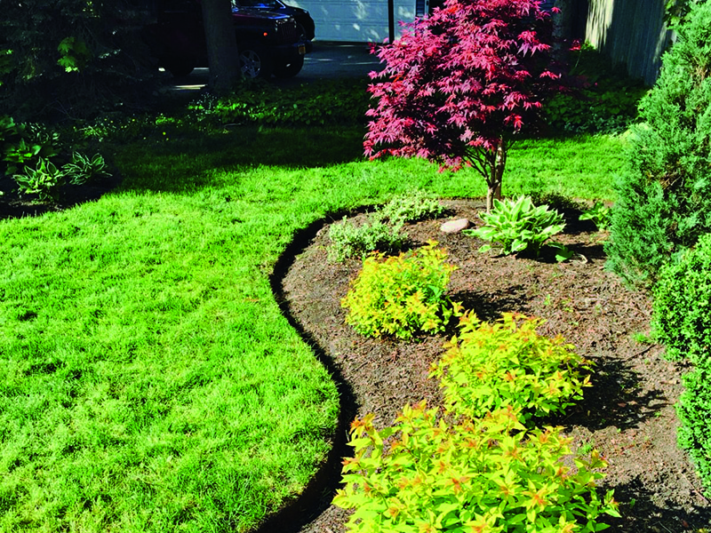 Heavy-Duty Edger Replacement Blade